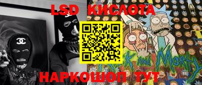 стафф Камышлов