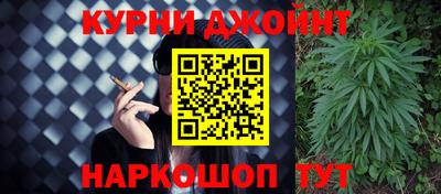 стафф Камышлов