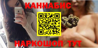 стафф Камышлов