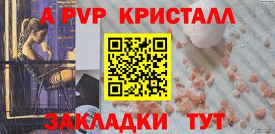 стафф Камышлов