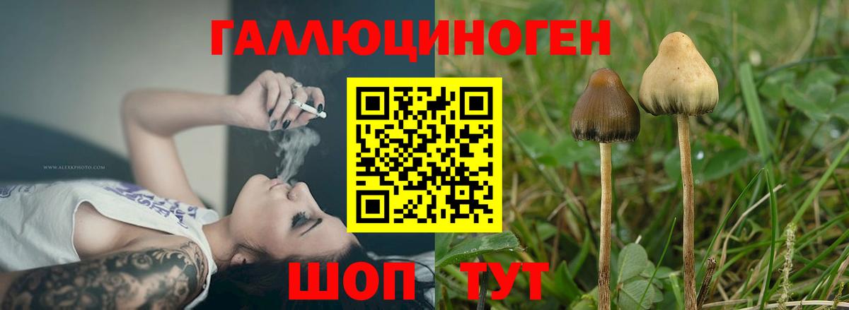Североуральск  Псилоцибиновые грибы мицелий  Галлюциногенные грибы Psilocybine cubensis  Вход с VPN 